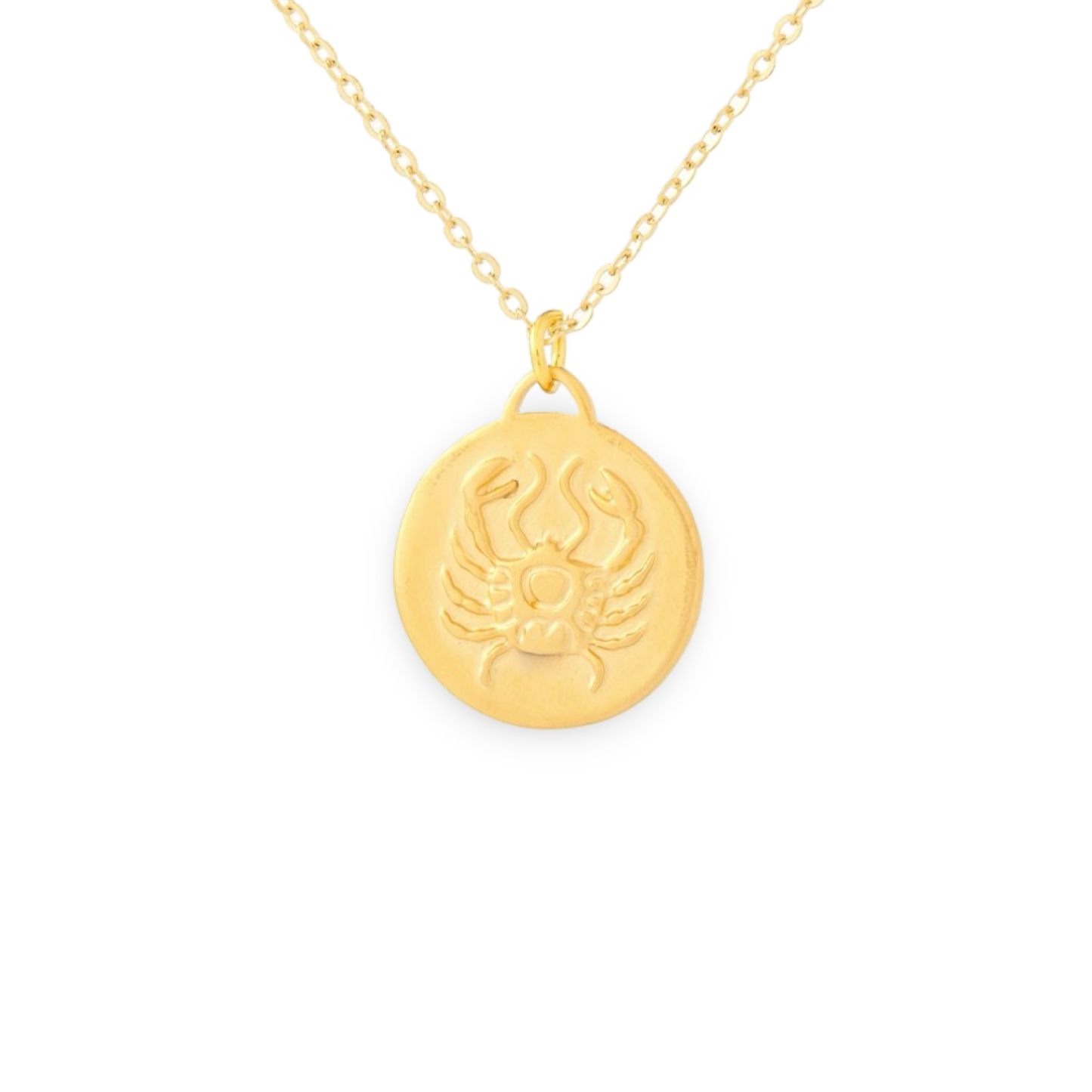 Bronze Zodiac Coin Necklace