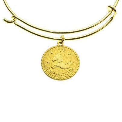 Coin Zodiac Bracelet
