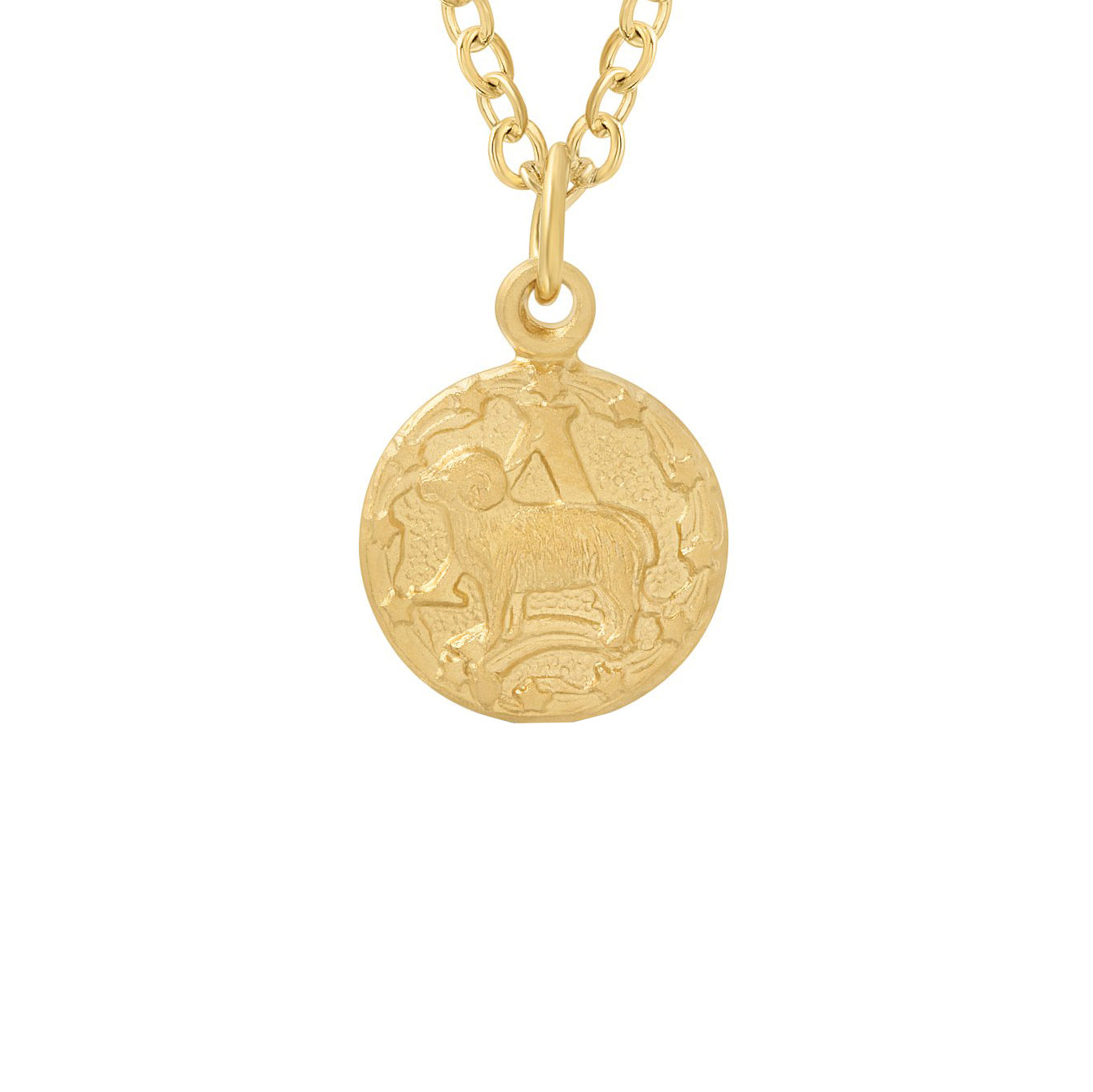 Tiny Zodiac Token Necklace