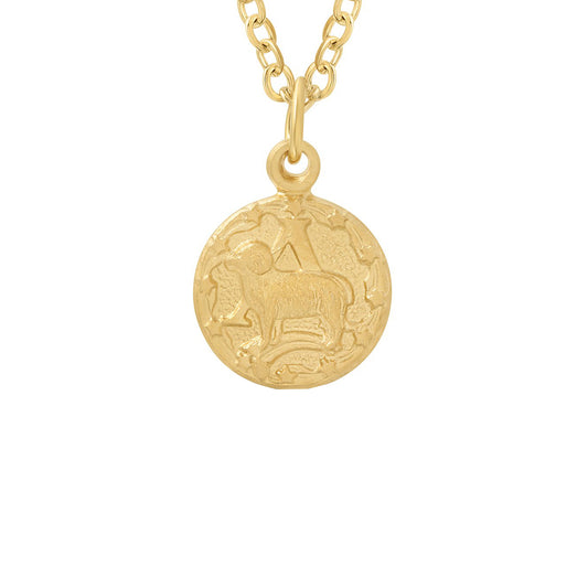 Tiny Zodiac Token Necklace