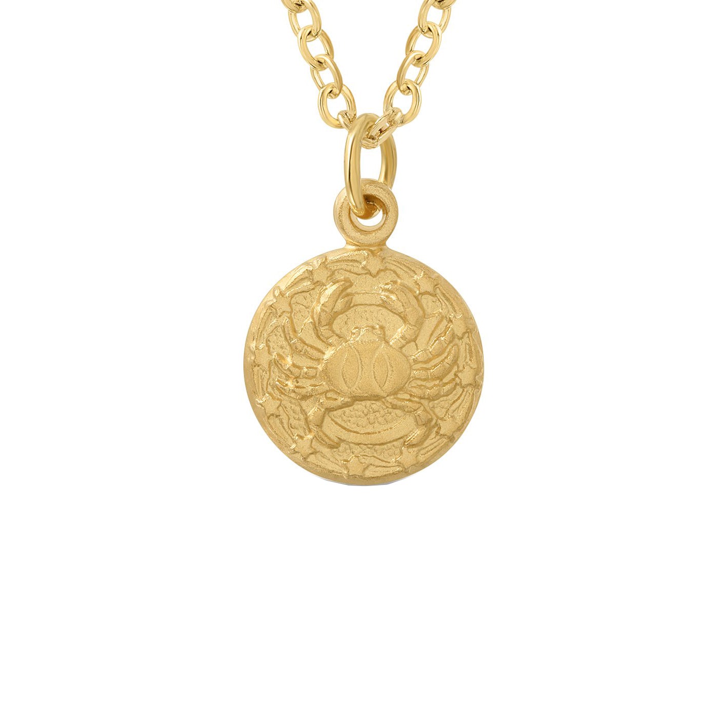 Tiny Zodiac Token Necklace