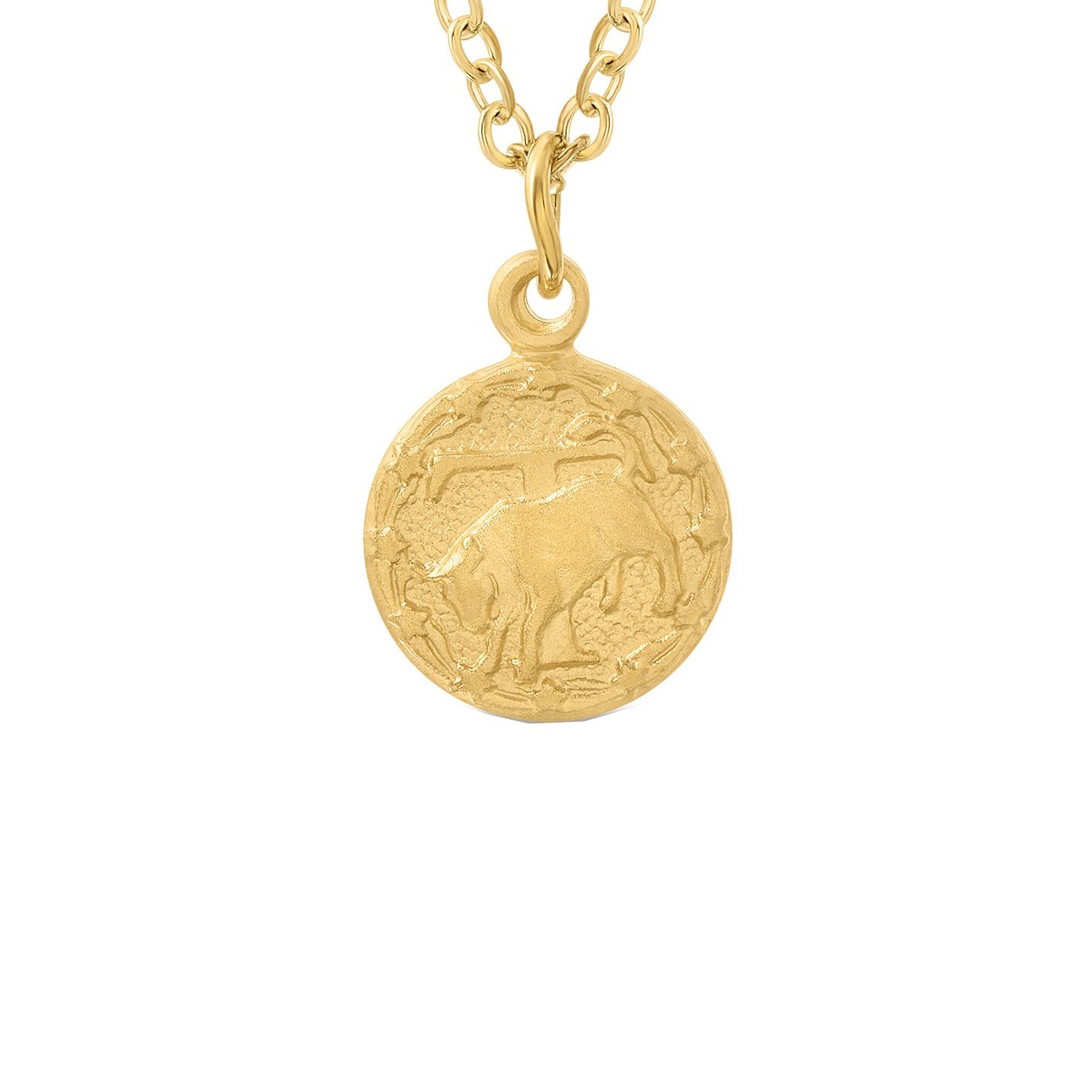 Tiny Zodiac Token Necklace