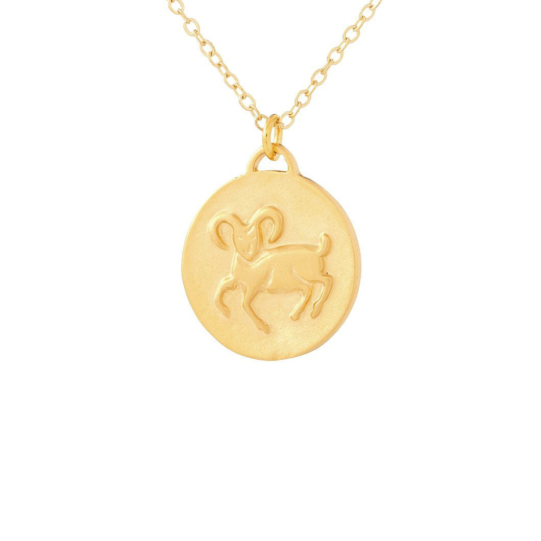 Bronze Zodiac Coin Necklace