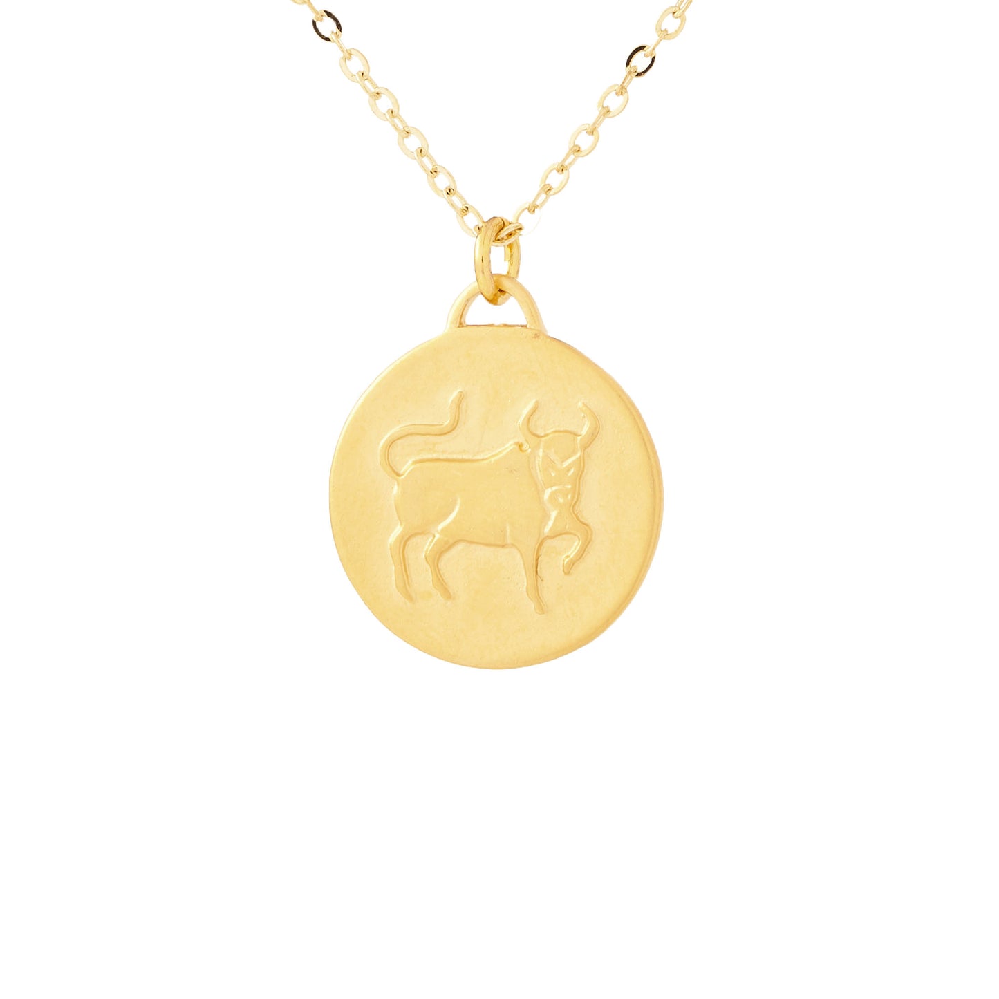 Bronze Zodiac Coin Necklace