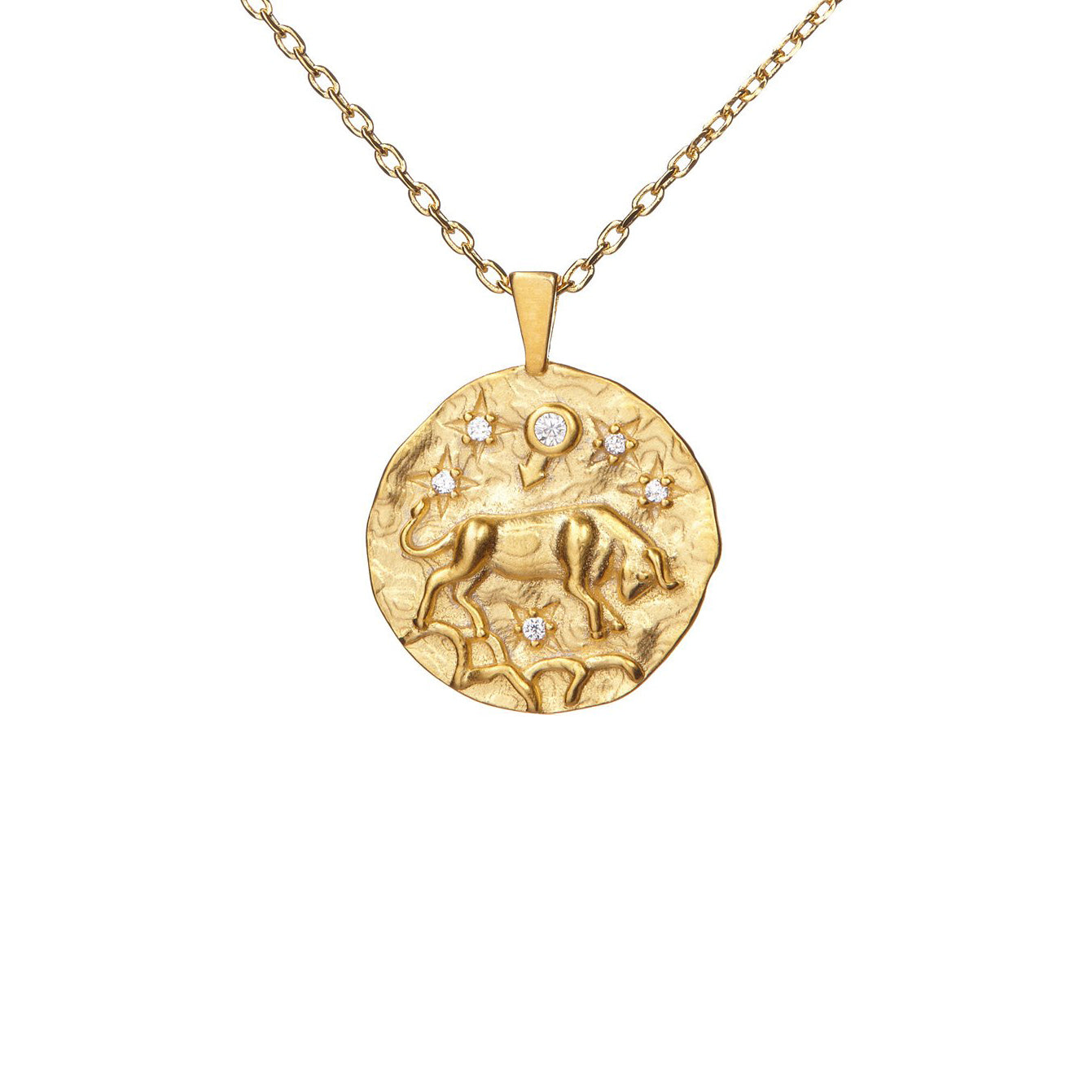 Hammered CZ Zodiac Necklace