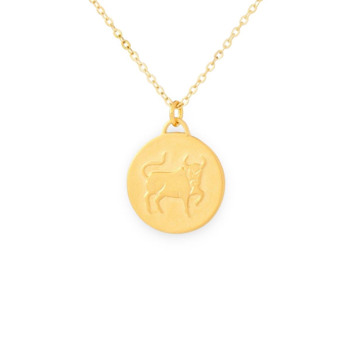 Bronze Zodiac Coin Necklace