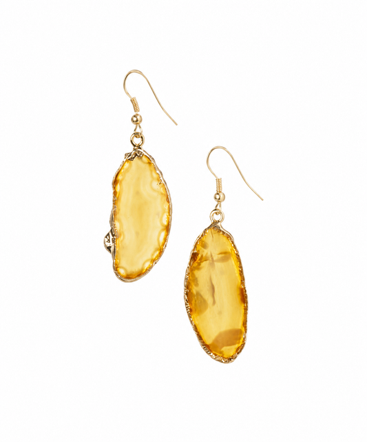Gilded Edge Natural Brazilian Agate Earrings