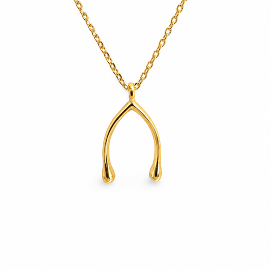 Medium Glossy Wishbone Necklace — approved Western Default Title shiny gold product photo — 20725