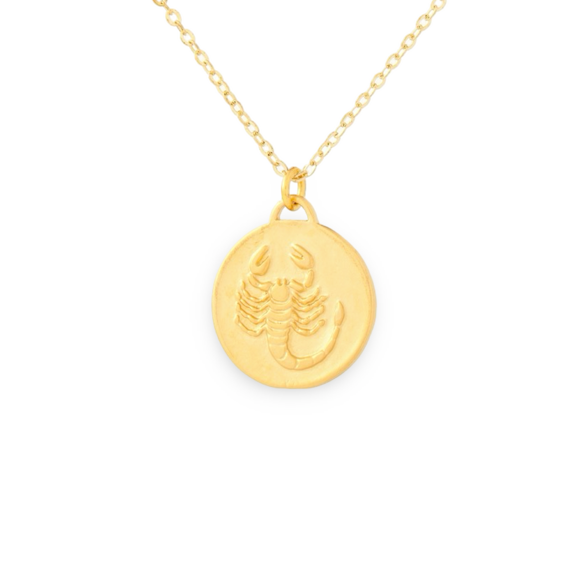 Bronze Zodiac Coin Necklace