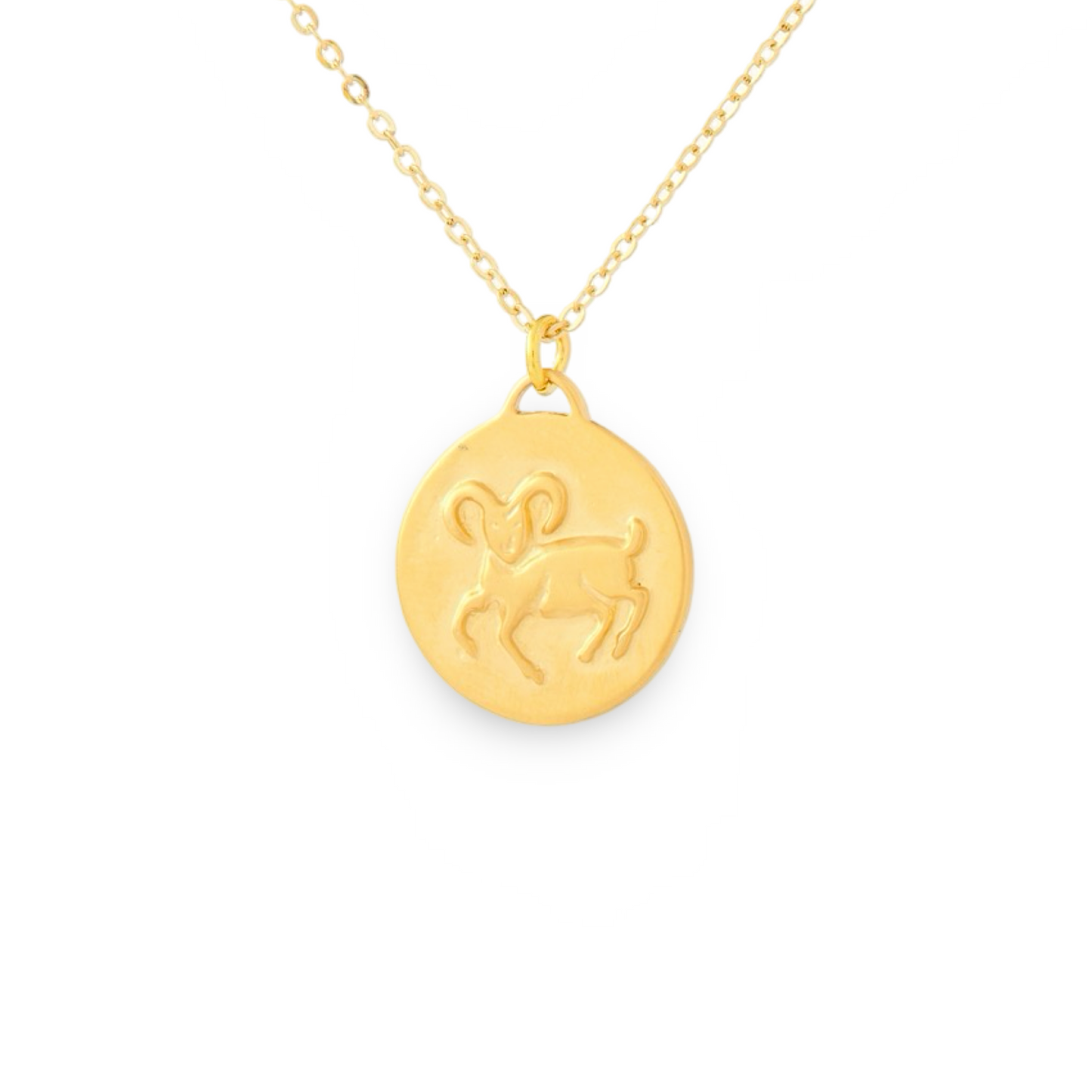Bronze Zodiac Coin Necklace