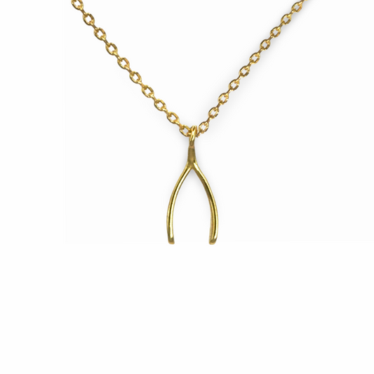 Small Glossy Wishbone Necklace