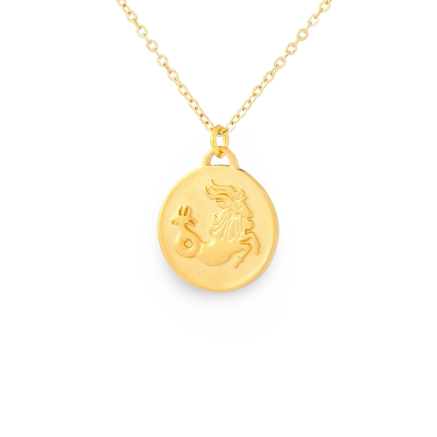 Bronze Zodiac Coin Necklace