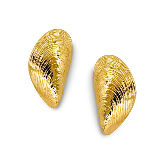 Mussel Earrings