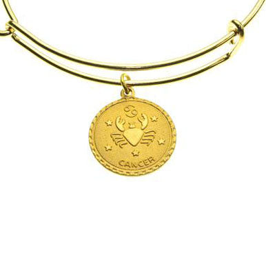 Coin Zodiac Bracelet (Individual Signs)