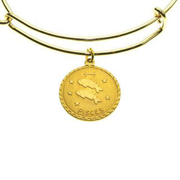 Coin Zodiac Bracelet (Individual Signs)