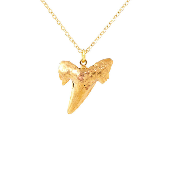 Gold Shark Tooth Necklace
