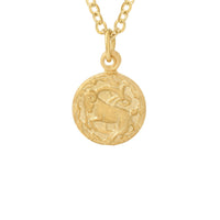 Tiny Zodiac Token Necklace