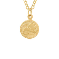 Tiny Zodiac Token Necklace