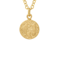 Tiny Zodiac Token Necklace