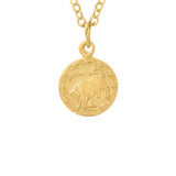 Tiny Zodiac Token Necklace