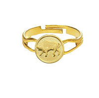 Tiny Zodiac Ring