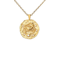Hammered CZ Zodiac Necklace