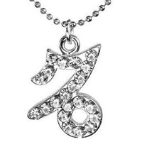 Sparkle Pave Zodiac Program (Kit of 24)