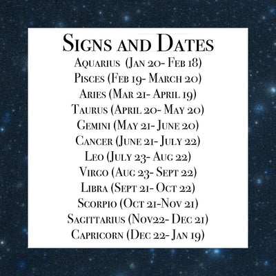Tiny Zodiac Stud (Individual Signs)