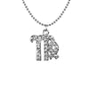 Sparkle Zodiac Necklace (Individual Signs)